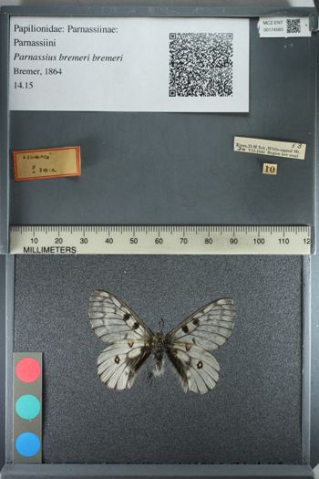 Media type: image;   Entomology 174583